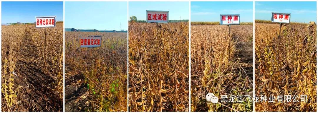 1640654769212146.jpg 9.jpg