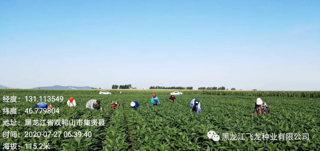 1640659962597926.jpg 2.jpg