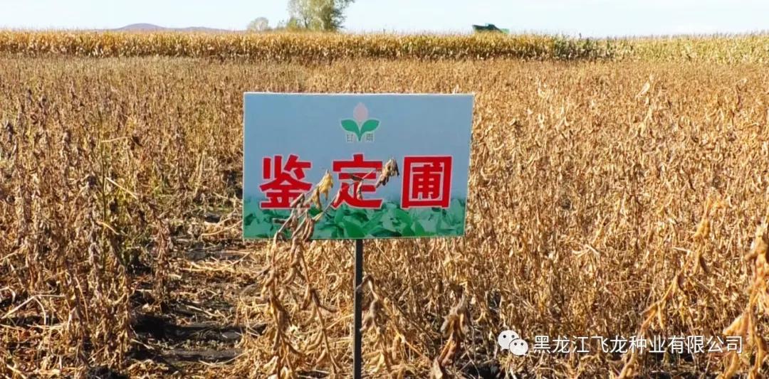 1640669601251692.jpg 11.jpg