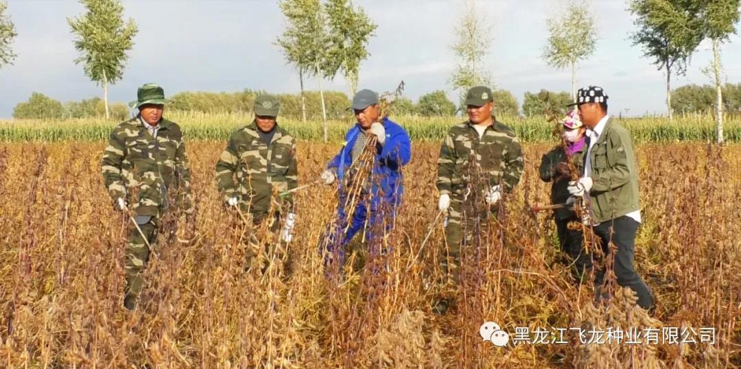 1640669642384488.jpg 10.jpg