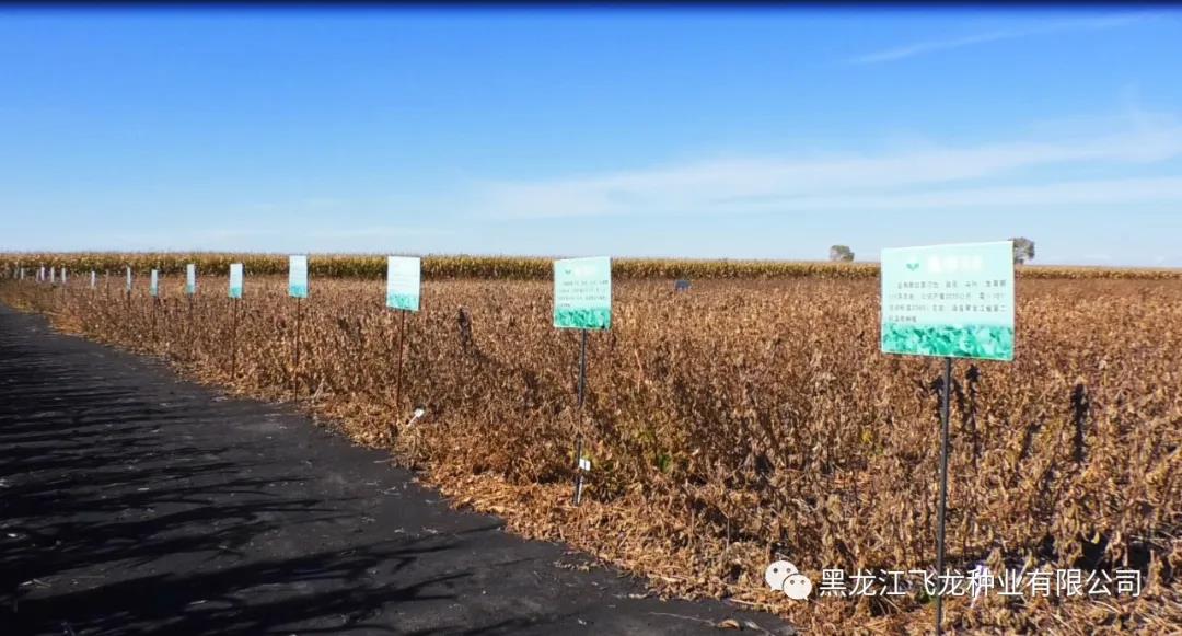 1640672080805511.jpg 3.jpg