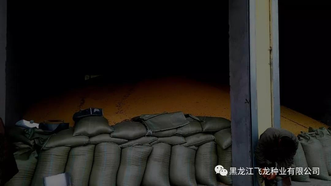 1640677078139431.jpg 3.jpg