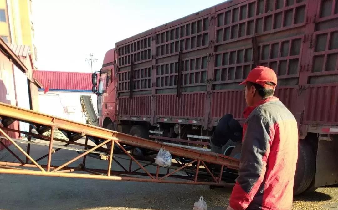 1640677134799530.jpg 6.jpg