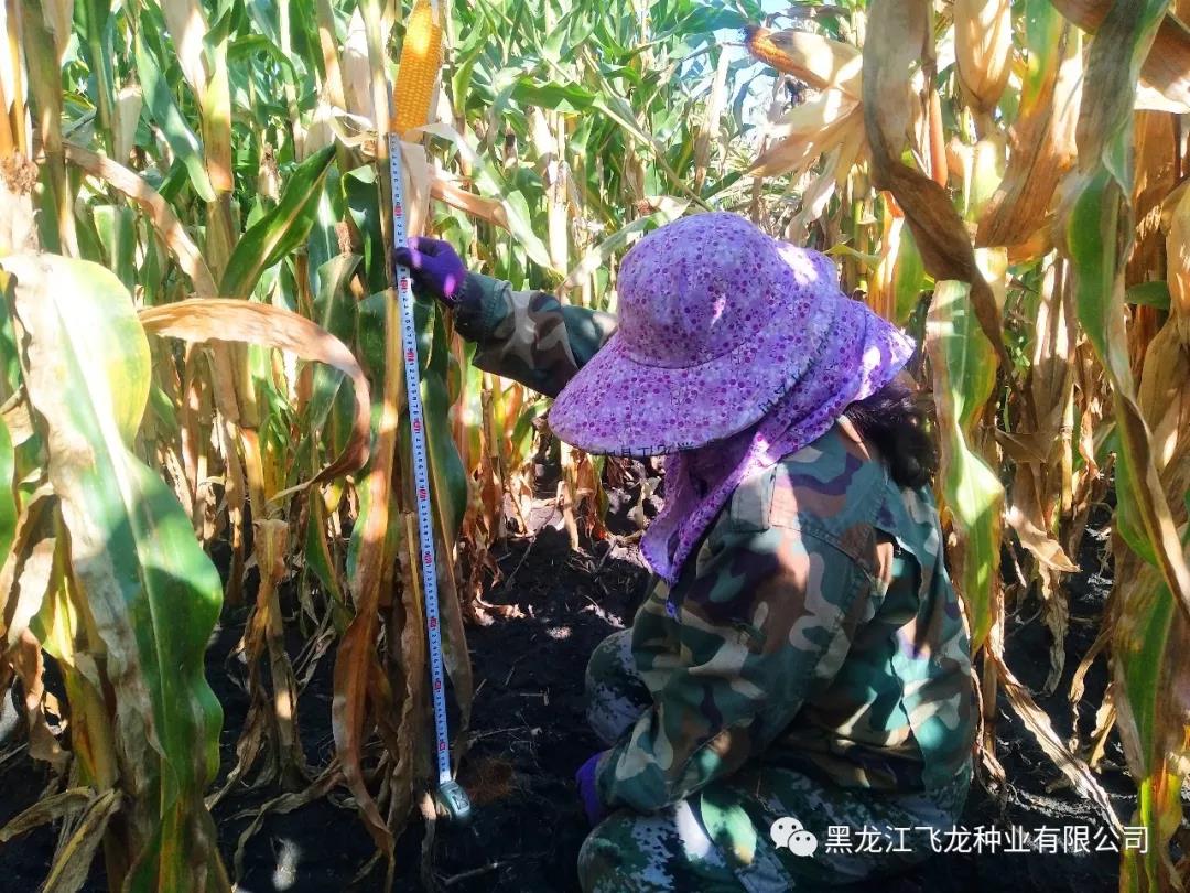 1640677609305740.jpg 4.jpg