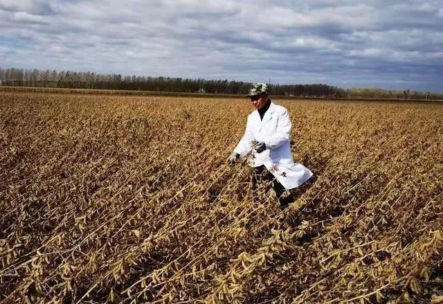 1646893243135025.jpg 2.jpg