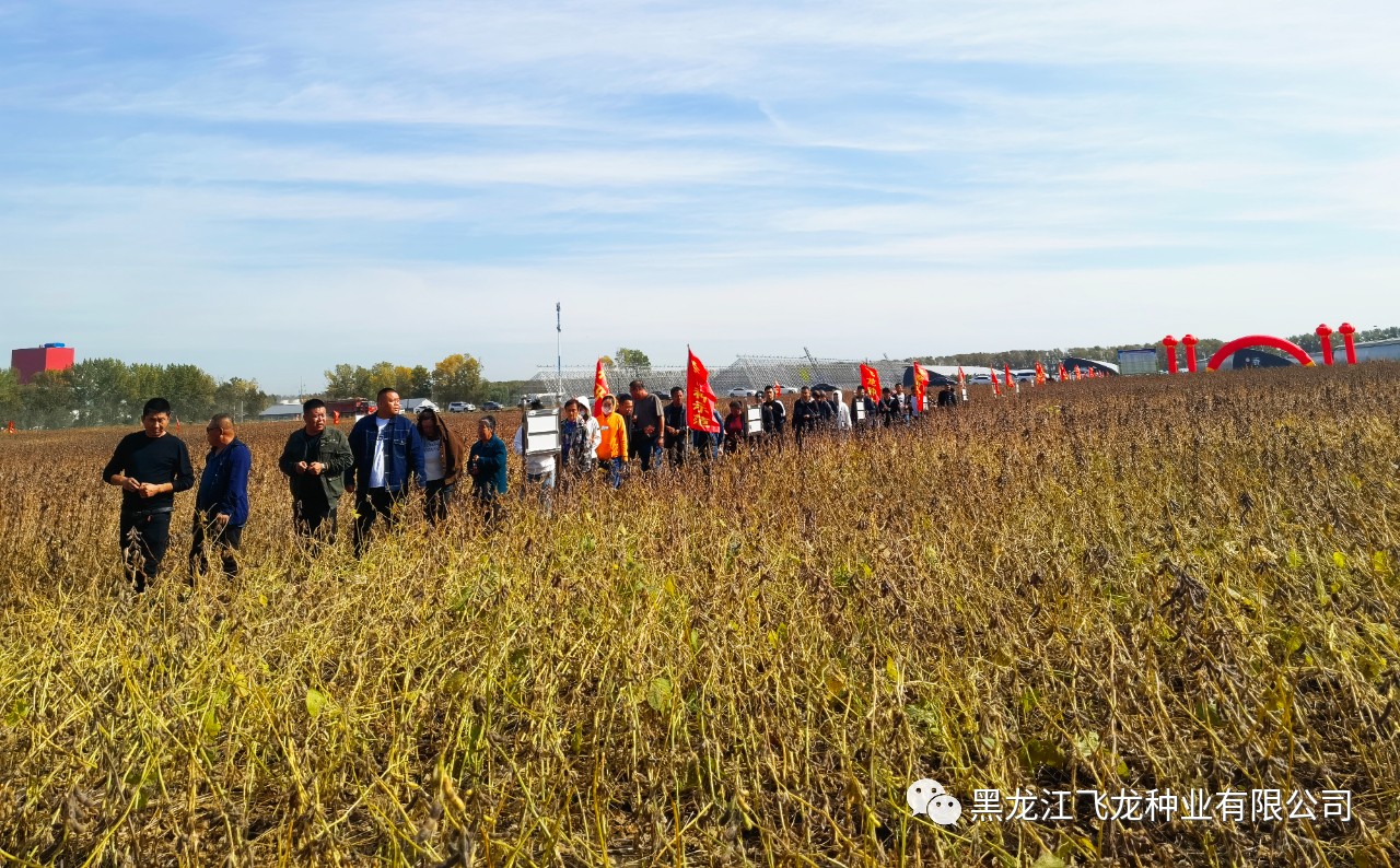 1695717162683688.jpg 2.jpg