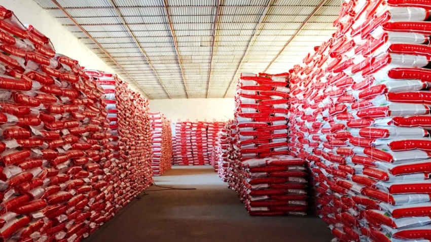 1732324250994163.jpg 5.jpg